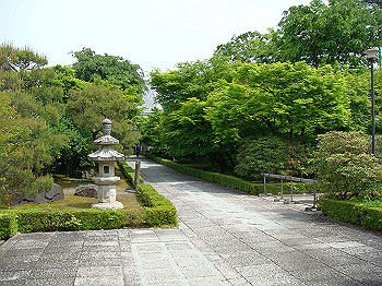 dsc02512_thumb.jpg