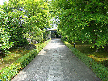 dsc02513_thumb.jpg