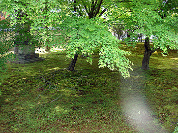 dsc02515_thumb.jpg