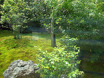 dsc02521_thumb.jpg