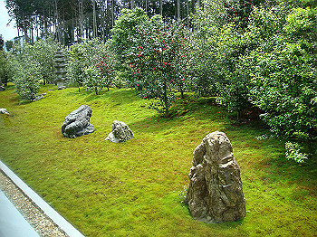 dsc02522_thumb.jpg