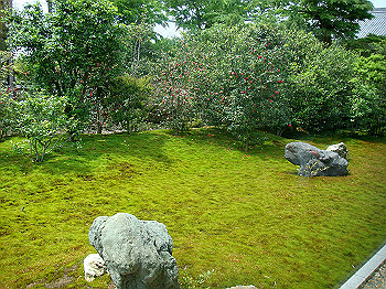 dsc02525_thumb.jpg