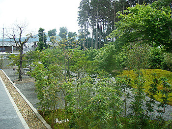 dsc02529_thumb.jpg