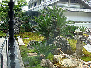 dsc02531_thumb.jpg