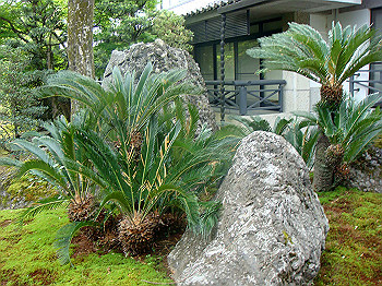 dsc02534_thumb.jpg