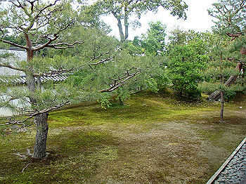 dsc02537_thumb.jpg
