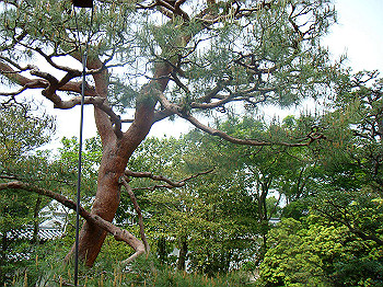 dsc02539_thumb.jpg