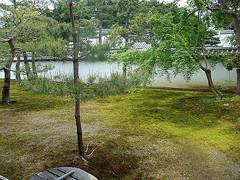 dsc02540_thumb.jpg