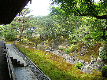 dsc02541_thumb.jpg