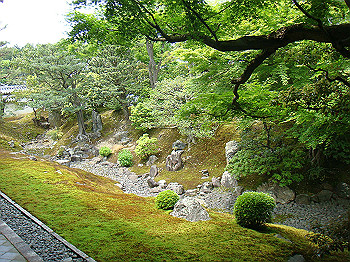 dsc02542_thumb.jpg