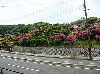 dsc02560_thumb.jpg