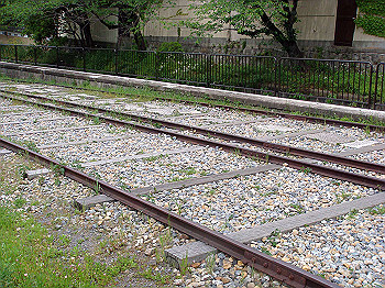 dsc02562_thumb.jpg