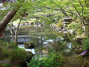 dsc02592_thumb.jpg