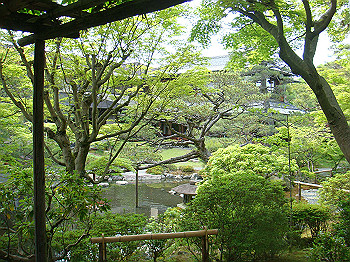dsc02594_thumb.jpg
