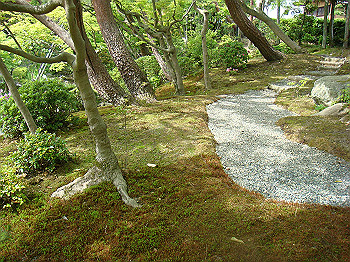 dsc02596_thumb.jpg