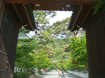 dsc02600_thumb.jpg