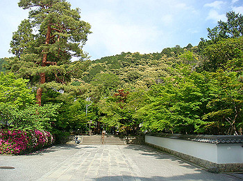 dsc02604_thumb.jpg