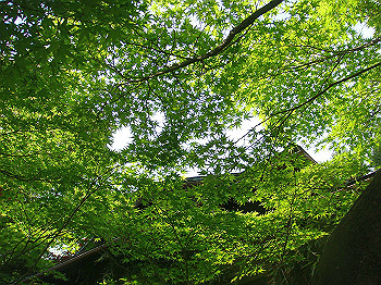 dsc02605_thumb.jpg