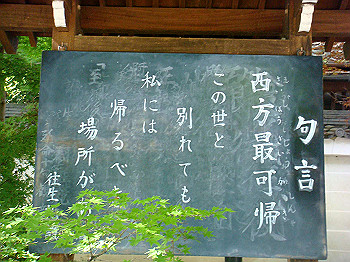 dsc02607_thumb.jpg