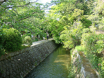dsc02610_thumb.jpg
