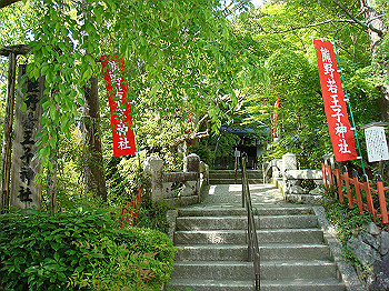 dsc02611_thumb.jpg