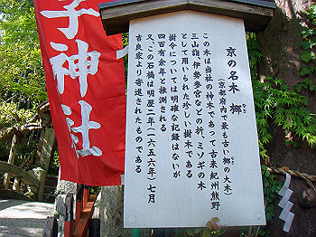 dsc02613_thumb.jpg