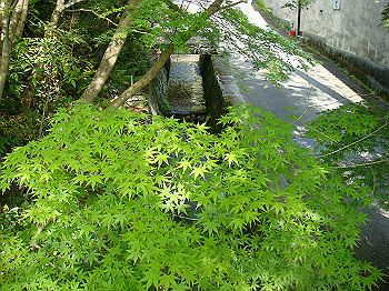 dsc02614_thumb.jpg
