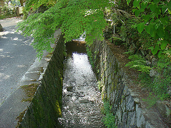 dsc02616_thumb.jpg