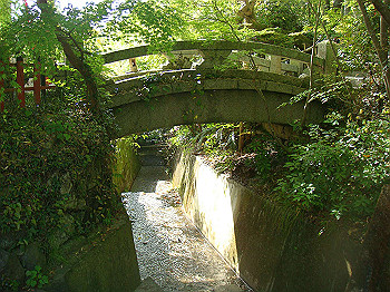 dsc02617_thumb.jpg