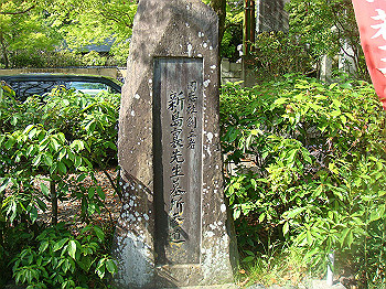 dsc02618_thumb.jpg