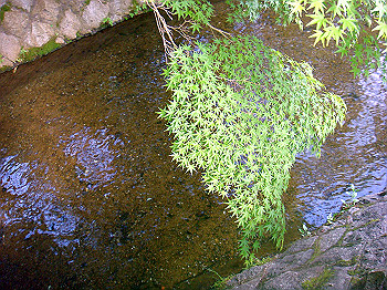 dsc02622_thumb.jpg