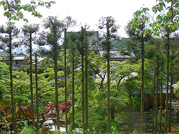 dsc02624_thumb.jpg