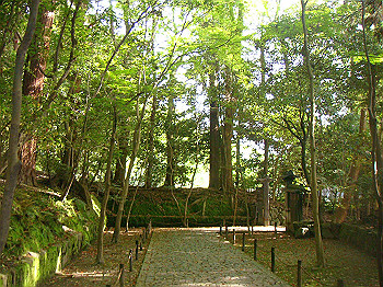 dsc02634_thumb.jpg