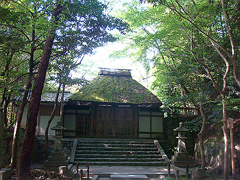 dsc02639_thumb.jpg