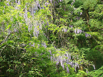 dsc02649_thumb.jpg