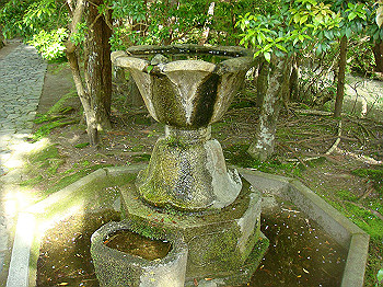 dsc02650_thumb.jpg
