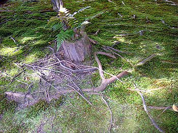 dsc02654_thumb.jpg