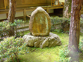 dsc02656_thumb.jpg