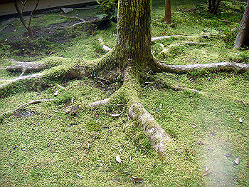 dsc02657_thumb.jpg