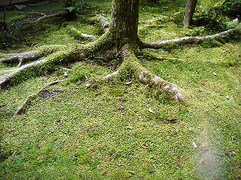 dsc02658_thumb.jpg