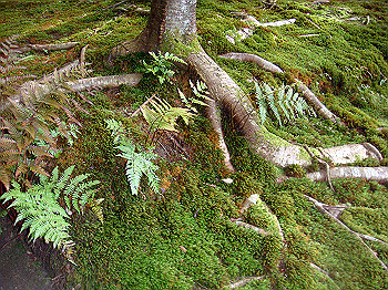 dsc02660_thumb.jpg