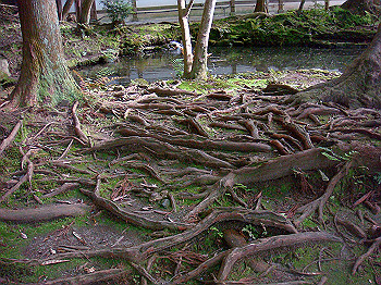 dsc02662_thumb.jpg