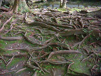 dsc02663_thumb.jpg