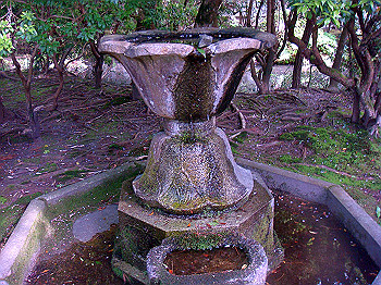 dsc02665_thumb.jpg