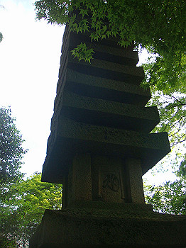 dsc02666_thumb.jpg