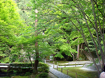 dsc02671_thumb.jpg