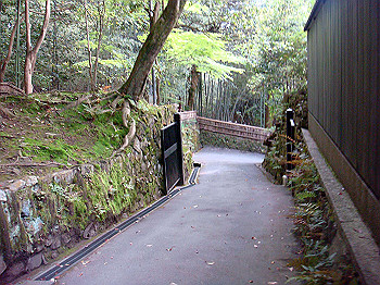 dsc02672_thumb.jpg