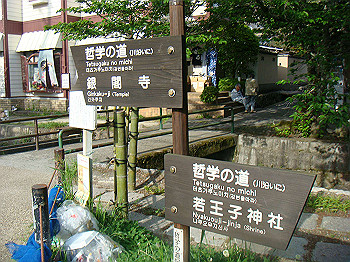 dsc02677_thumb.jpg