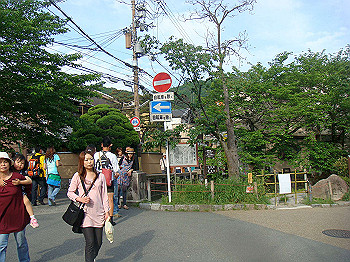 dsc02678_thumb.jpg
