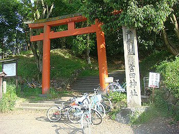 dsc02684_thumb.jpg